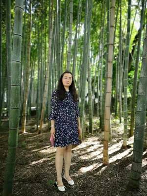 聪聪竹林照全身(修图)